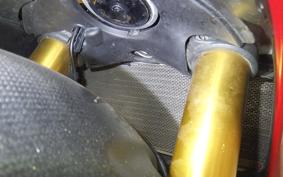 DUCATI 1199 PANIGALE R 2013
