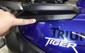 TRIUMPH TIGER 800 2013