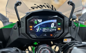 KAWASAKI NINJA 1000SX 2023 ZXT02K