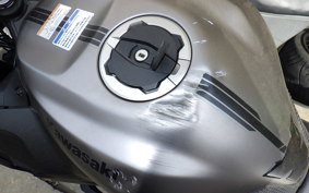 KAWASAKI ZX-4R SE 2024 ZX400P