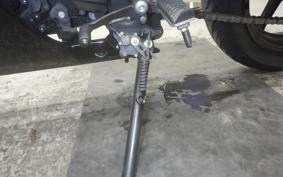 KAWASAKI NINJA 250R 2025 EX250K