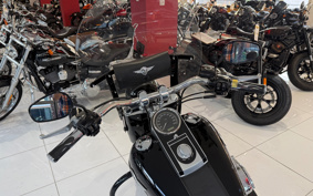 HARLEY FLSTFB 2010 JN5