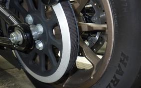 HARLEY FXLRS1920 2024