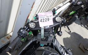 KAWASAKI NINJA ZX-6R A 2019 ZX636G