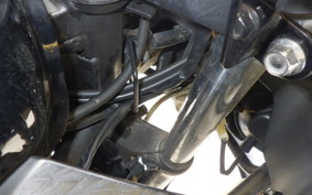 KAWASAKI NINJA 250 EX250L