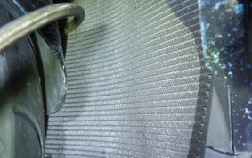 SUZUKI GSX-R1000 2008