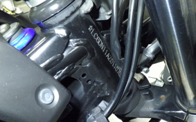 SUZUKI GSX250R 2024
