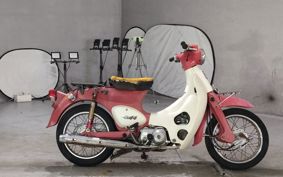 HONDA LITTLE CUB C50