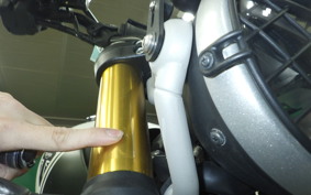 TRIUMPH SCRAMBLER400X 2024