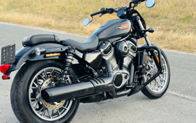HARLEY RH975S NIGHT STAR 2024 ZF1