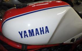 YAMAHA RZ250R 29L