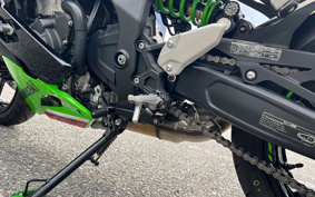 KAWASAKI Ninja ZX-4RR KRT 2024 ZX400P