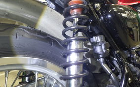 KAWASAKI W800 2021 EJ800E