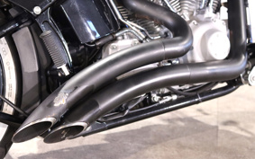 HARLEY FXST 2010 BV5