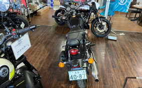 BENELLI IN PE REAR -RE400 2024 P09