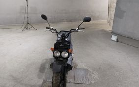 HONDA ZUMAR AF58