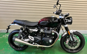 TRIUMPH SPEED TWIN 2024 DAD85H