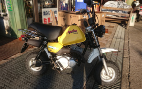 YAMAHA POCKET50 4U1