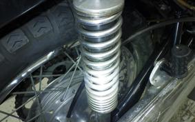 KAWASAKI 250SS 2024 S1F