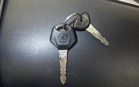 YAMAHA YZF-R25 A 2021 RG43J