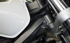HONDA HORNET 250 2019 MC31