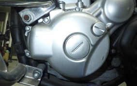 YAMAHA WR250X DG15J