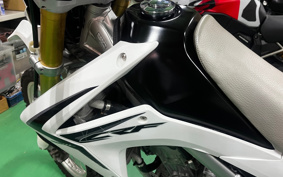 HONDA CRF250L MD38