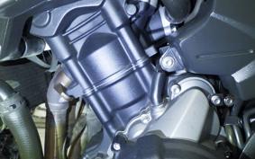 TRIUMPH TRIDENT 660 2021