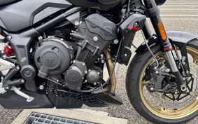 TRIUMPH TRIDENT 800 2026 L24P47