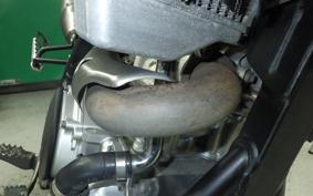 YAMAHA WR250X DG15J