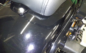 HARLEY RH975 2022