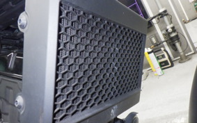 HONDA REBEL 250 S 2021 MC49