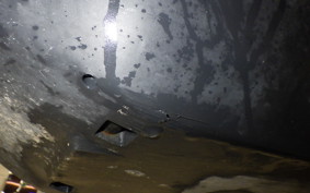 HONDA TACT-4ﾍﾞｰｼｯｸ 2017 AF79