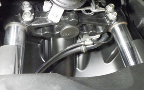 YAMAHA CYGNUSｸﾞﾘﾌｧｽ SEJ4J