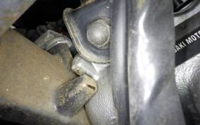 KAWASAKI ZZ-R250 EX250H