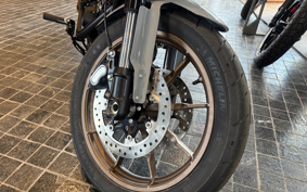 HARLEY FXLRST 2025 YXZ