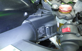 KAWASAKI ZX 10 NINJA R 2015