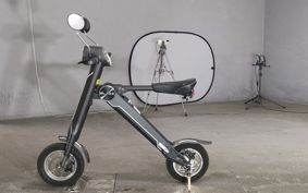 OTHER  BLAZE  SMART EV BLAZE