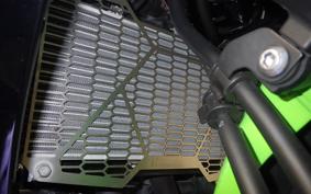 KAWASAKI NINJA 650 A 2019