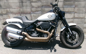 HARLEY  HARLEY FXFBS 2018 YLK