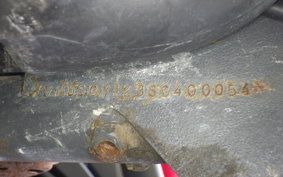SCORPA TYS-125F 2020