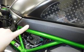 KAWASAKI NINJA H2 CARBON 2019 ZXT02J