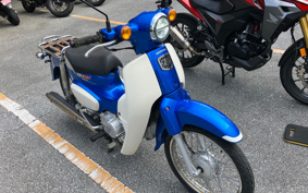 HONDA SUPER CUB110 JA44