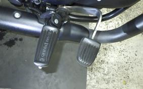 OTHER ENFIELD CLASSIC 350 2023