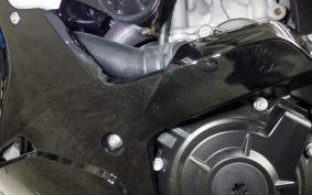 BMW S1000RR M DDC 2023