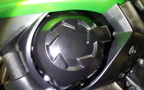 KAWASAKI NINJA 1000 2015