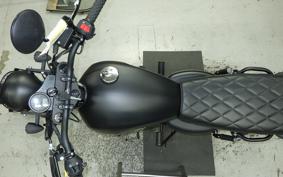 OTHER +UNREGISTERED MODEL by BDS250 2007