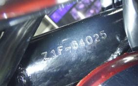 KAWASAKI Z1000 2024 Z1F