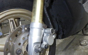 HONDA DIO ZX GEN 2 AF35