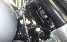 HARLEY FLSB 1750 2025